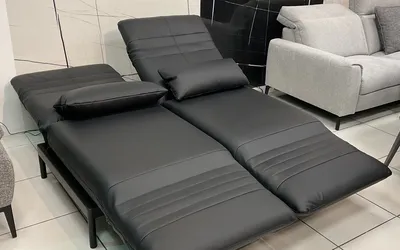 Sedežna garnitura Rolf Benz Plura