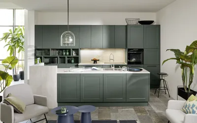 Kuhinja Nolte Küchen Frame Lack / Soft Lack - Black Green softmatt