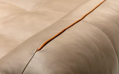 Sedežna garnitura Rolf Benz Moyo